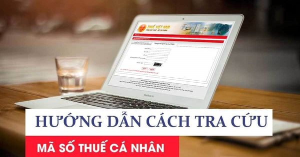 Cách Tra Cứu Mã Số Thuế Cá Nhân Nhanh Nhất Trực Tuyến 2023