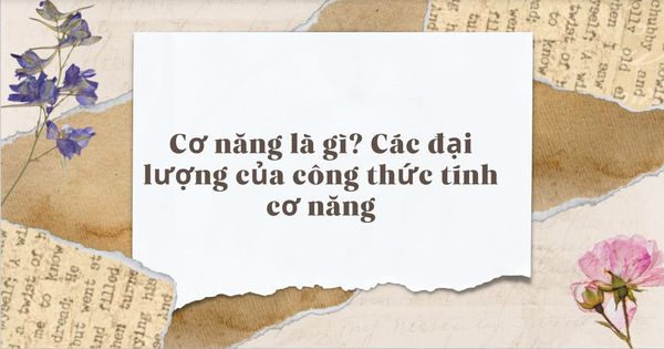 Cơ Năng Là Gì? Khám Phá Các Đại Lượng Trong Công Thức Tính Cơ Năng