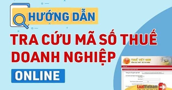 Mã Số Doanh Nghiệp Là Gì? Hướng Dẫn Tra Cứu Mã Số Doanh Nghiệp Online Nhanh Chóng, Chính Xác