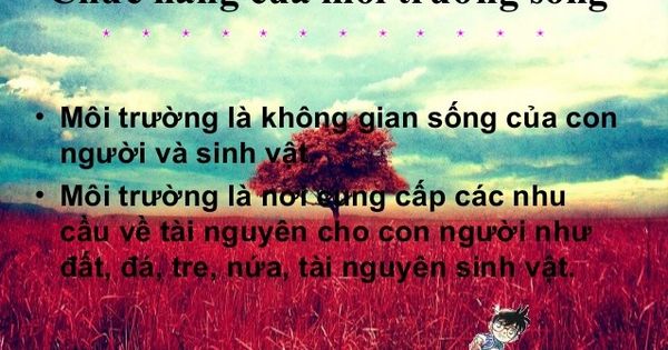 Môi trường sống là gì?