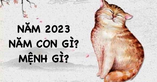 Năm 2023 là năm con gì?