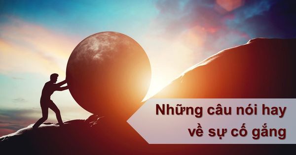 Những Câu Nói Hay Về Sự Cố Gắng, Nỗ Lực, Tạo Động Lực Để Phát Triển Bản Thân