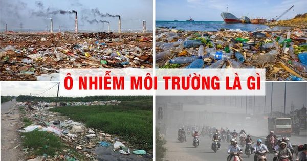 Ô nhiễm môi trường là gì? Biểu hiện, nguyên nhân và giải pháp khắc phục