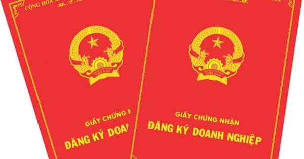 Số Đăng Ký Kinh Doanh Là Gì? Tra Cứu Số Đăng Ký Kinh Doanh Như Thế Nào?