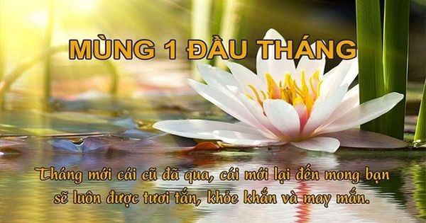 Stt Ngày Mùng 1 Đầu Tháng Lời Chúc Đầu Tháng Hay và Ý Nghĩa