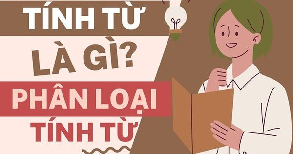 Tính Từ Là Gì? Vai Trò, Các Loại, Cách Sử Dụng Trong Tiếng Việt