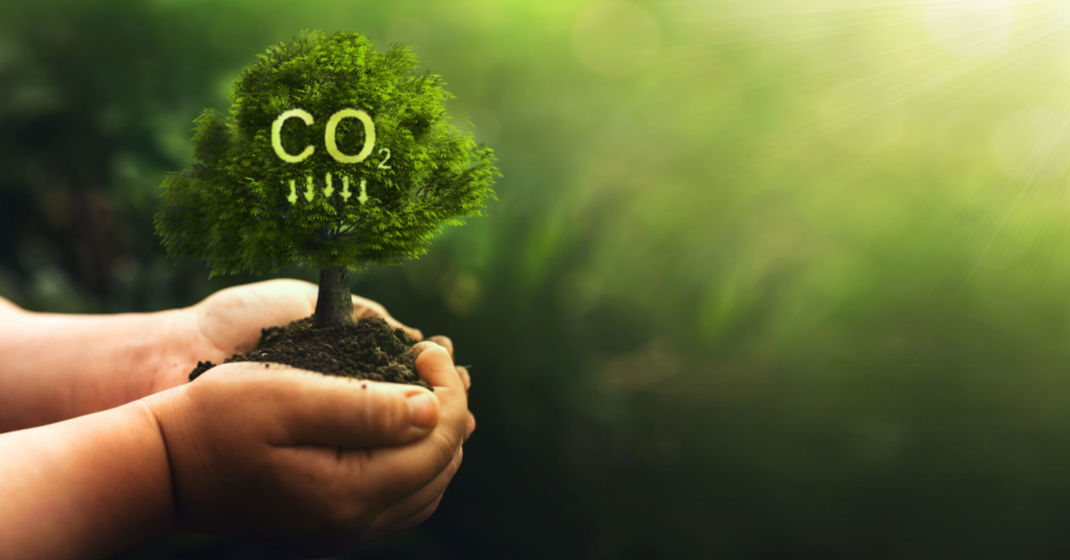 Khí CO2 là gì? Tại sao CO2 là nguyên nhân gây ra hiệu ứng nhà kính