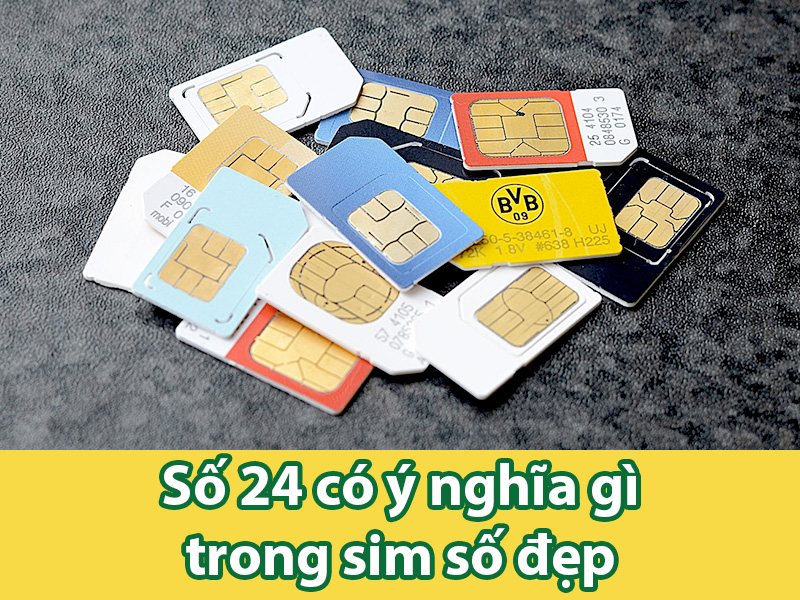 Số 24 có ý nghĩa gì? Khám phá con số thể hiện May mắn, Hạnh phúc