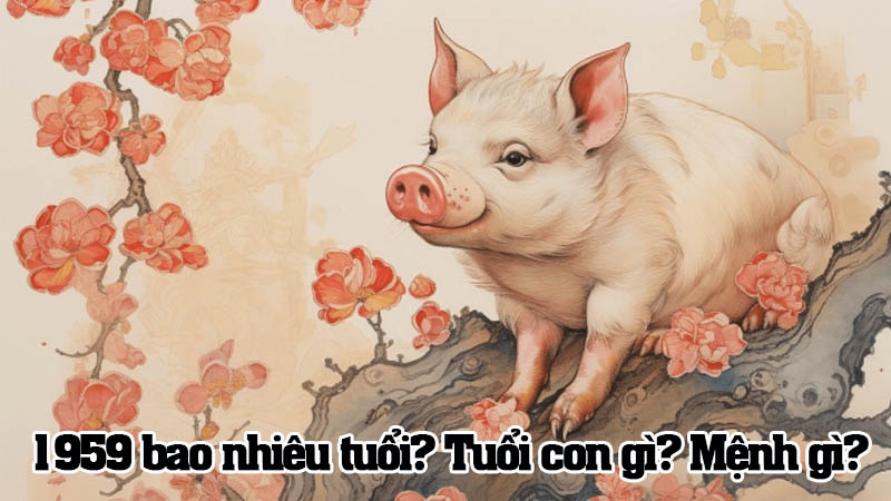 1959 năm nay bao nhiêu tuổi? Thuộc cung mệnh gì? Tuổi con gì?