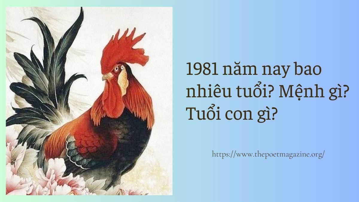 1981 năm nay bao nhiêu tuổi? Tham khảo thông tin về cung mệnh, con giáp