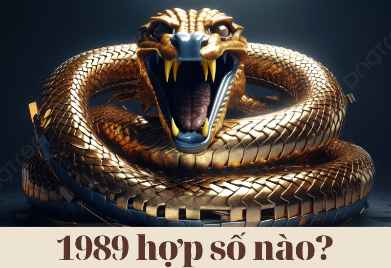 1989 hợp số mấy