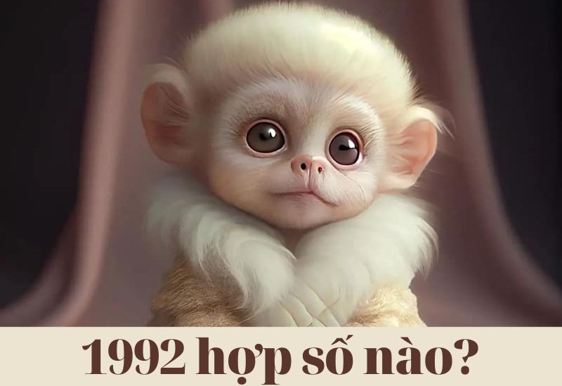 1992 hợp số mấy