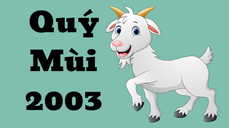 2003 năm nay bao nhiêu tuổi? Sinh năm 2k3 học lớp mấy năm 2024?