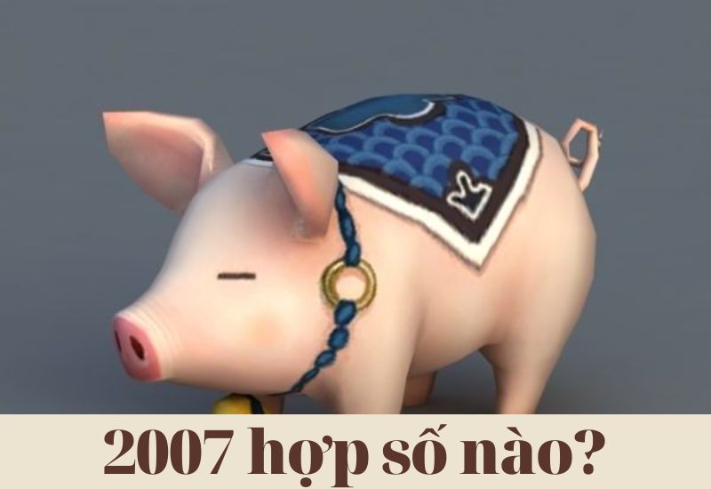 2007 hợp số mấy