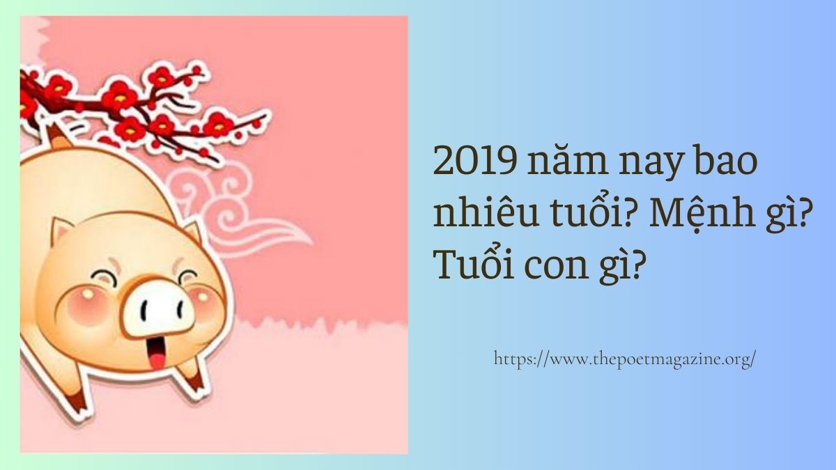 2019 mệnh gì