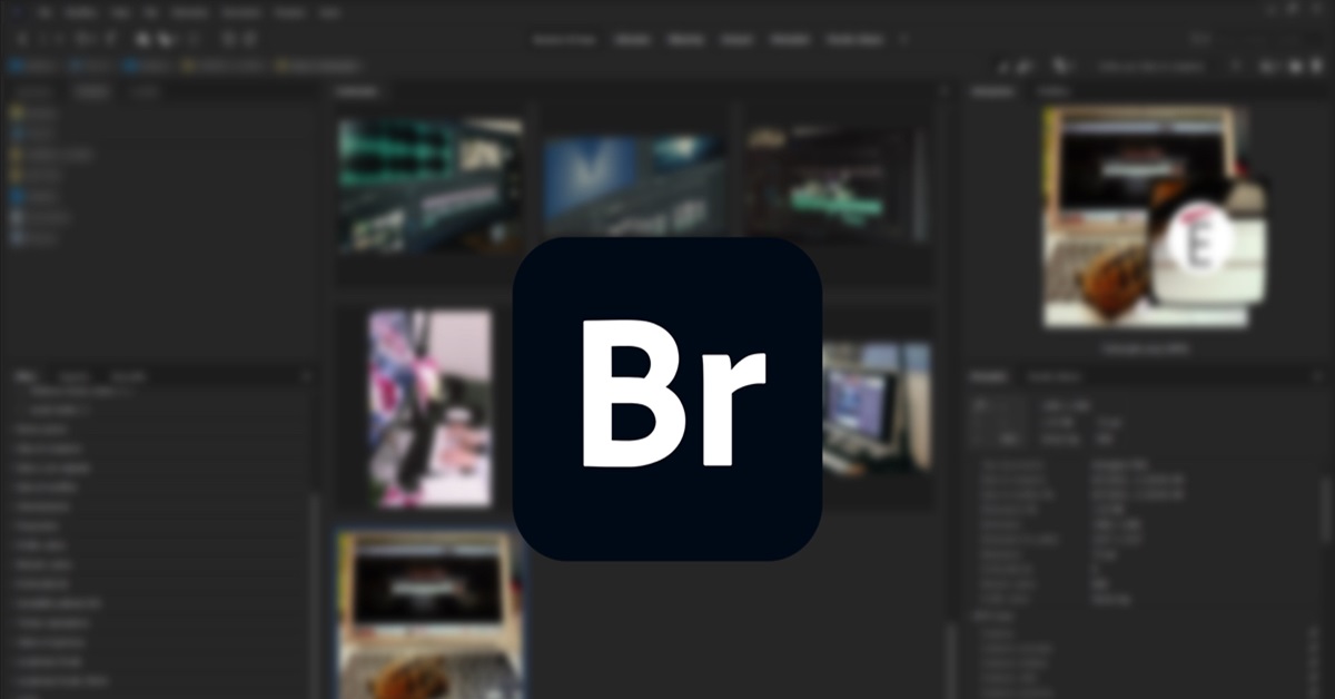 Adobe Bridge là gì? Các tính năng nổi bật của Adobe Bridge