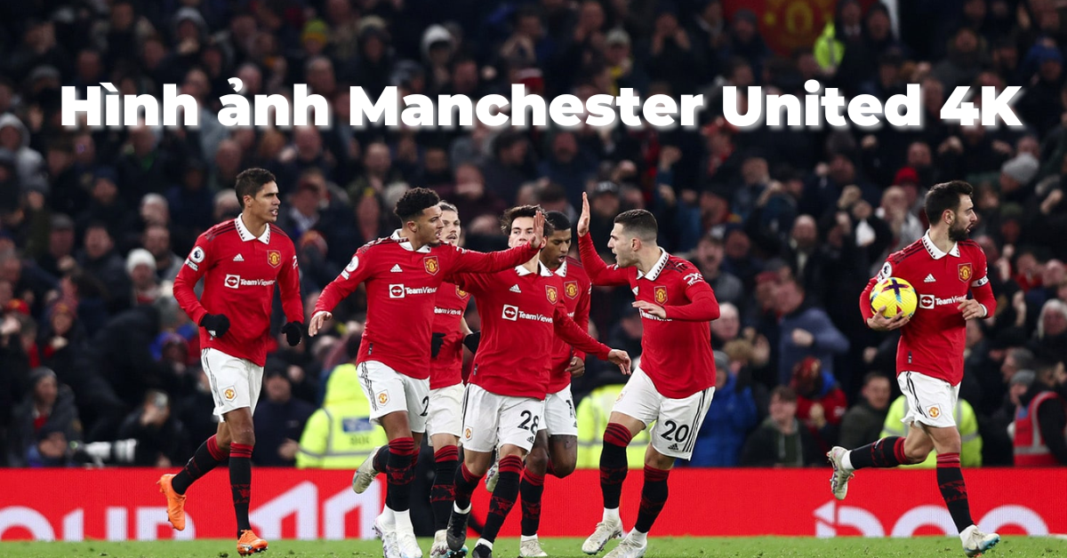 Ảnh Manchester United: Tổng hợp hình 4K ấn tượng