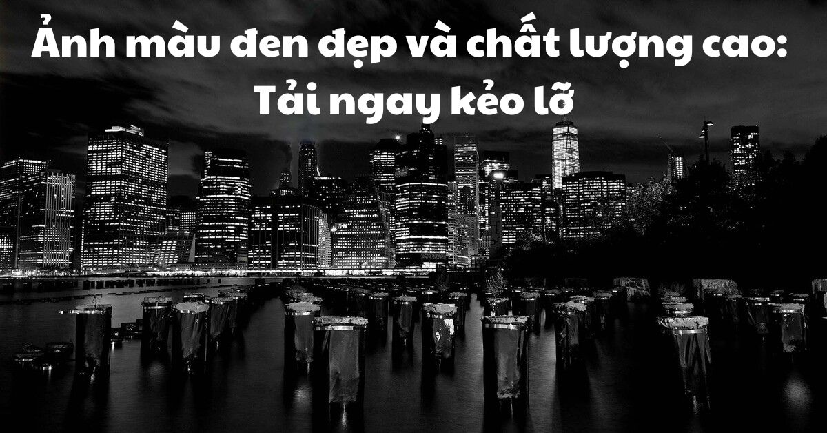 Ảnh màu đen đẹp và chất lượng cao: Tải ngay kẻo lỡ