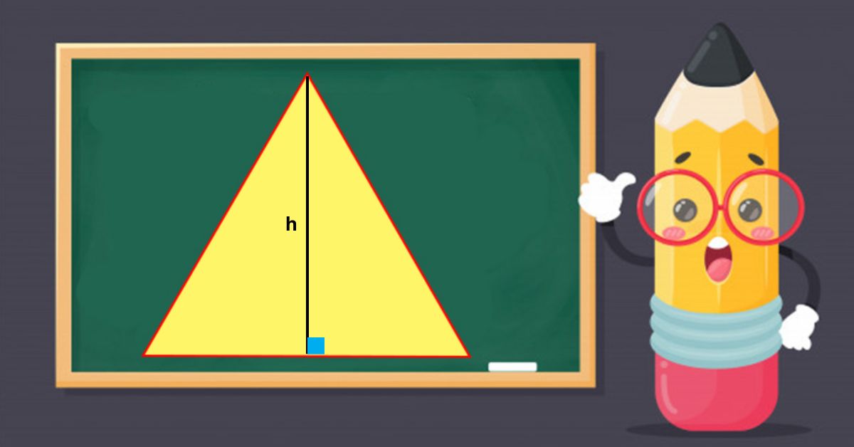 Cách tính đường cao tam giác cân, vuông, đều kèm bài tập