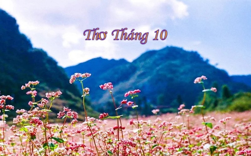 Chùm thơ tháng 10 ngắn, hay và ý nghĩa