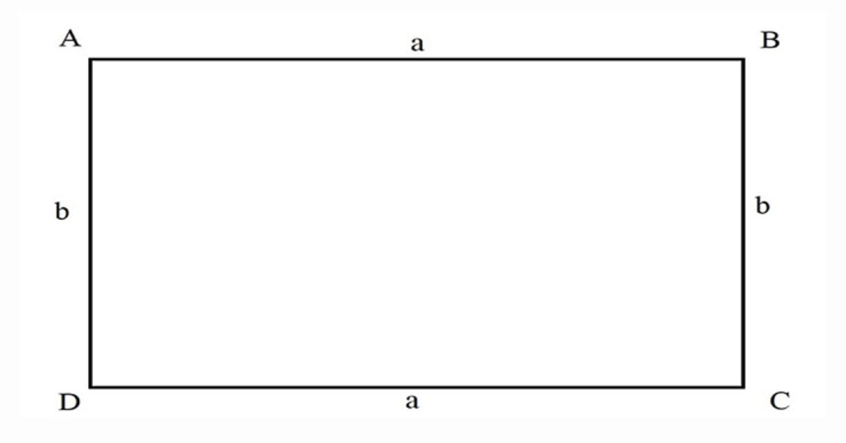 Công thức tính chu vi hình chữ nhật dễ hiểu, chính xác nhất 2023