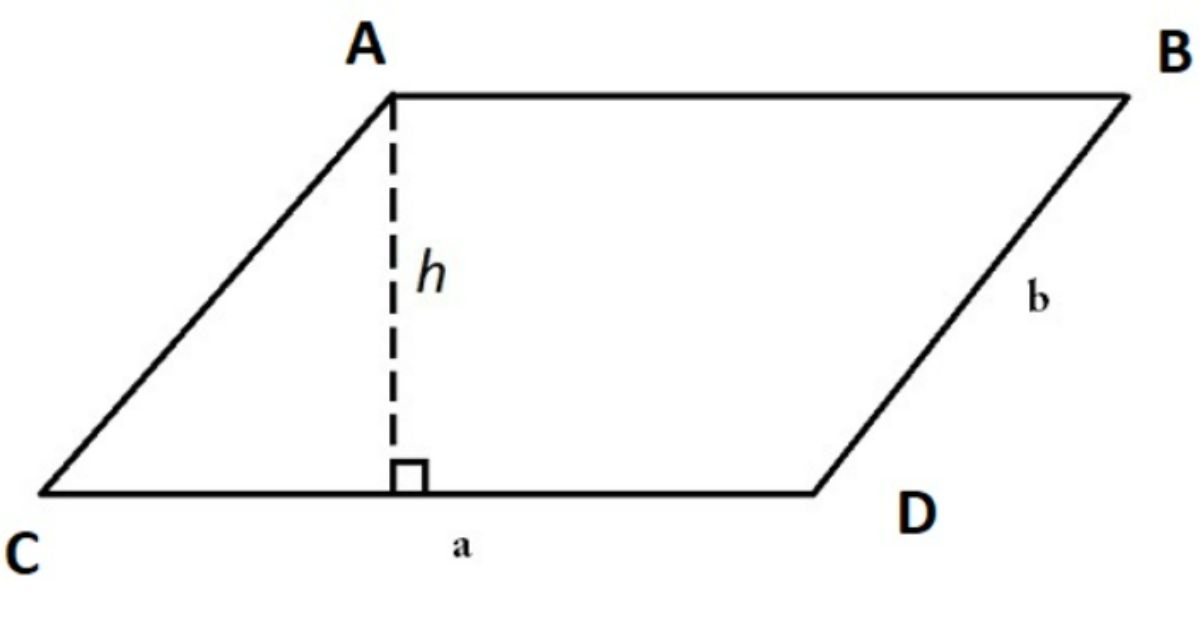 Công thức tính diện tích hình bình hành chính xác nhất 2023 và bài tập