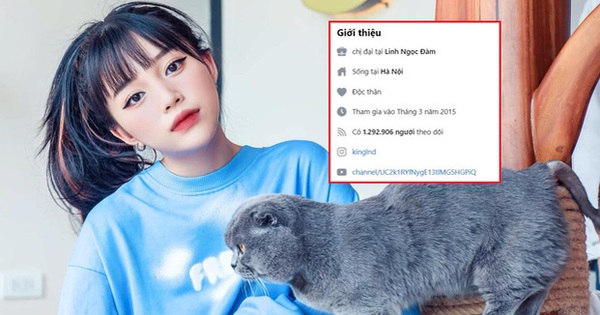 Liên tiếp bị report khiến tài khoản Facebook hàng triệu followers bị khóa, Linh Ngọc Đàm tuyên bố “nghỉ chơi”