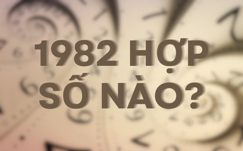 Nhâm Tuất 1982 hợp số nào? Những con số mang lại may mắn