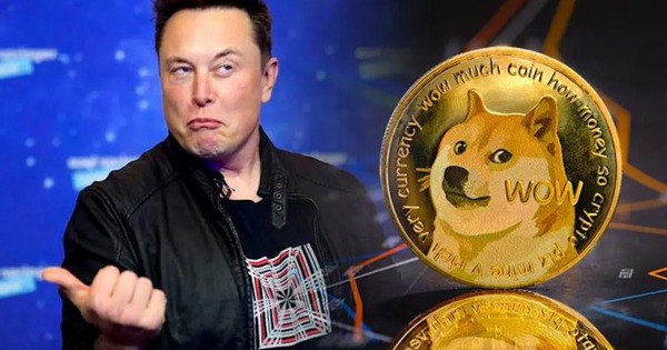 Quyết “phù phép”, sống mái với Dogecoin, Elon Musk đề xuất dùng đồng token này để trả dịch vụ Twitter, giá lại lên “phi mã”