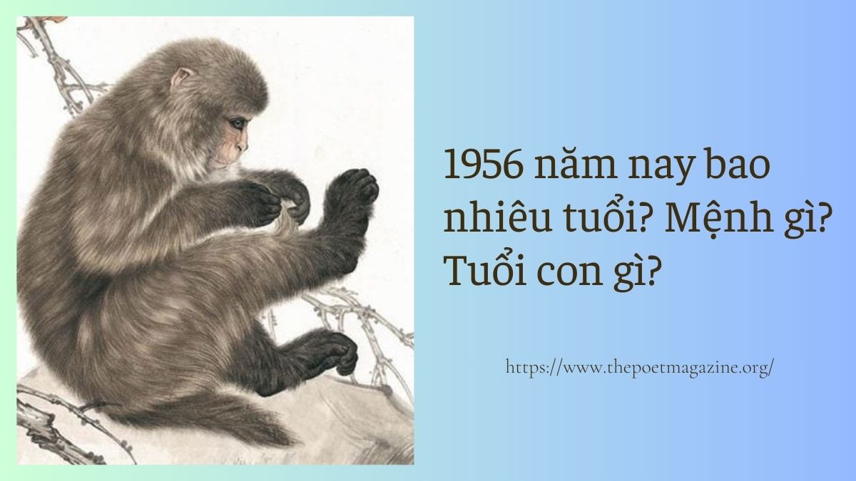 Sinh năm 1956 năm nay bao nhiêu tuổi? Mệnh gì? Tuổi con gì?