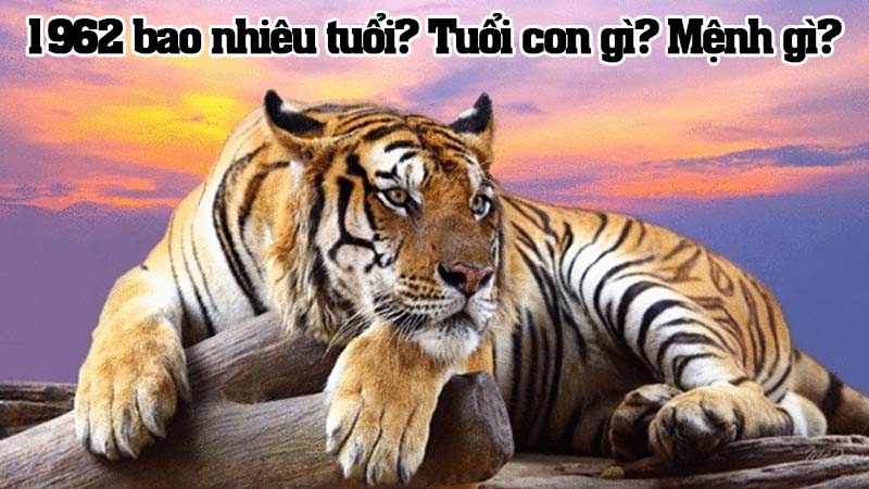 Sinh năm 1962 năm nay bao nhiêu tuổi? Con gì? Mệnh gì?