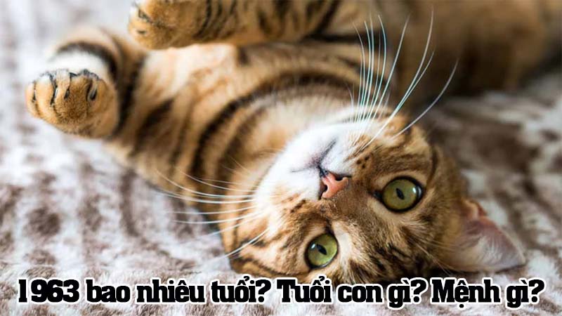 Sinh năm 1963 năm nay bao nhiêu tuổi? Thuộc mệnh gì? Con giáp nào?