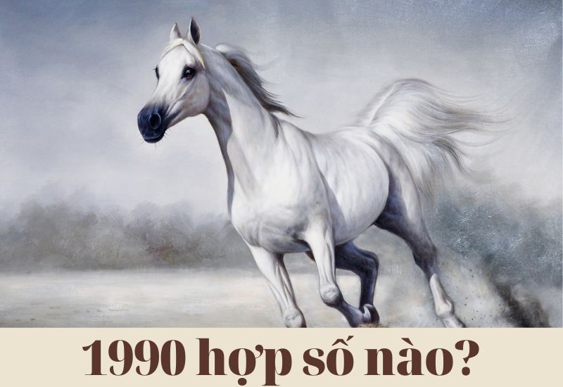 Sinh năm 1990 hợp số nào? Kỵ số nào theo phong thủy?