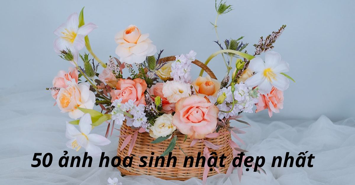 Tải ảnh hoa sinh nhật đẹp: mẫu hoa sinh nhật đẹp nhất