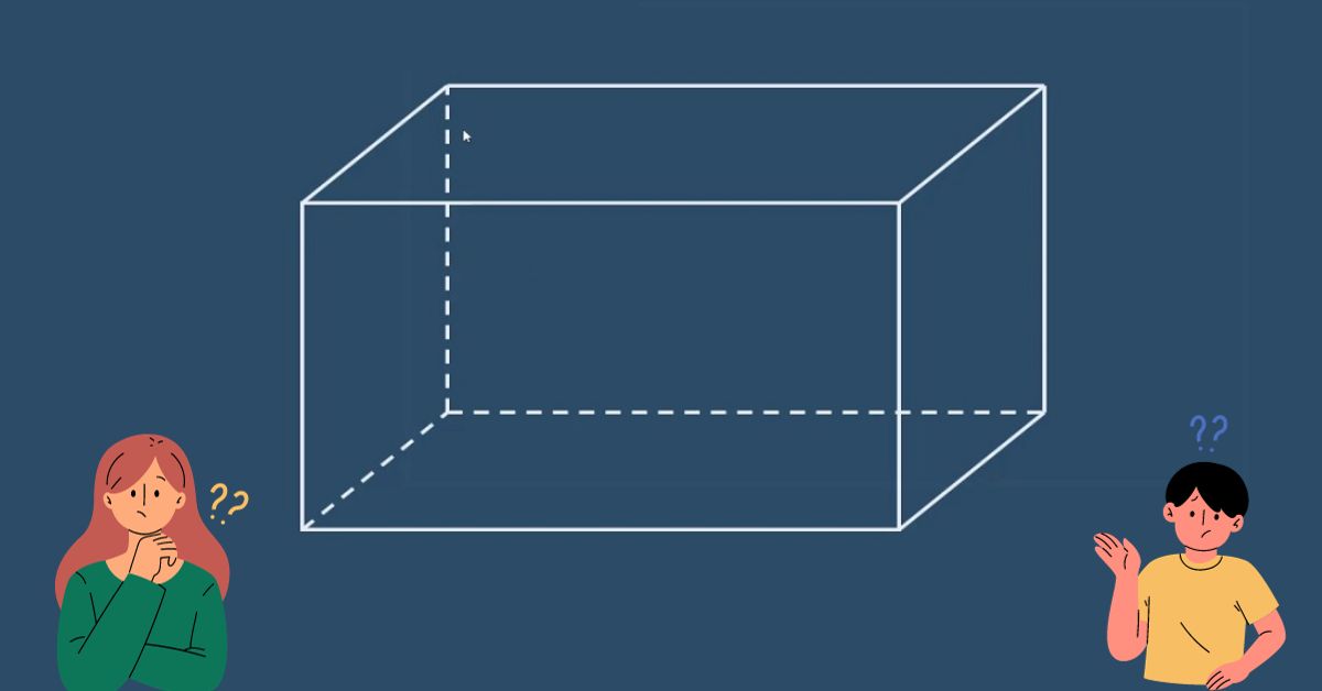 Tất cả điều bạn cần biết về diện tích bề mặt hình hộp chữ nhật