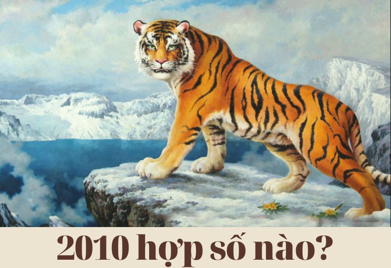 Tìm hiểu 2010 hợp số nào, Canh Dần kỵ số nào?