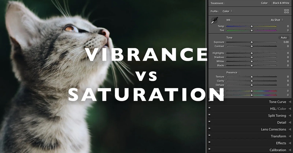 Tìm hiểu sự khác nhau giữa Saturation và Vibrance trong Photoshop