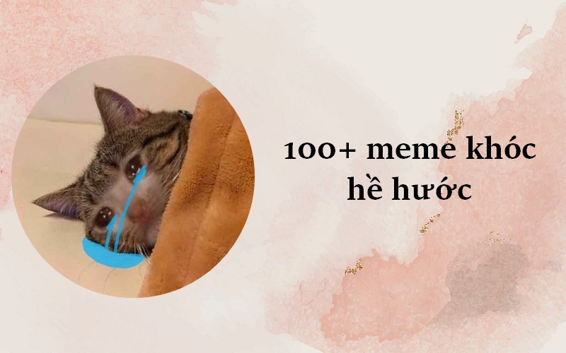 Tổng hợp 100 ảnh chế meme khóc siêu hài bựa