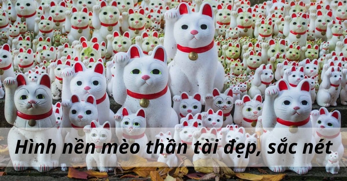 Tổng hợp hình nền mèo thần tài đẹp – Tải xuống ngay