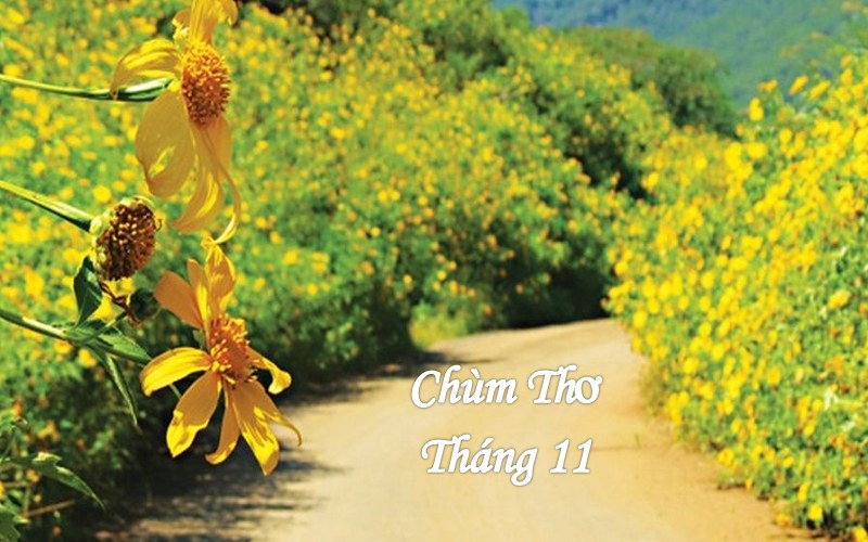 Trọn bộ thơ về tháng 11 hay, chùm thơ tình tháng 11 đầu đông