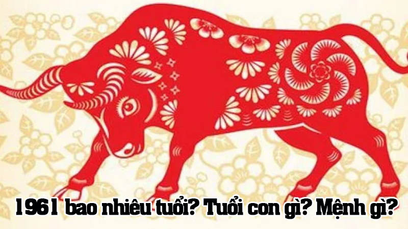 Tuổi Sửu 1961 bao nhiêu tuổi năm 2024? Mệnh gì? Tuổi con gì?