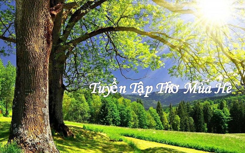 Tuyển tập những bài thơ mùa hè hay, mùa hạ buồn, lãng mạn nhất