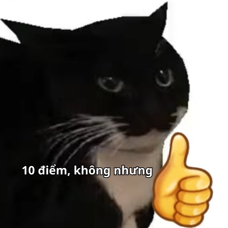 ảnh 10 điểm không có nhưng meme