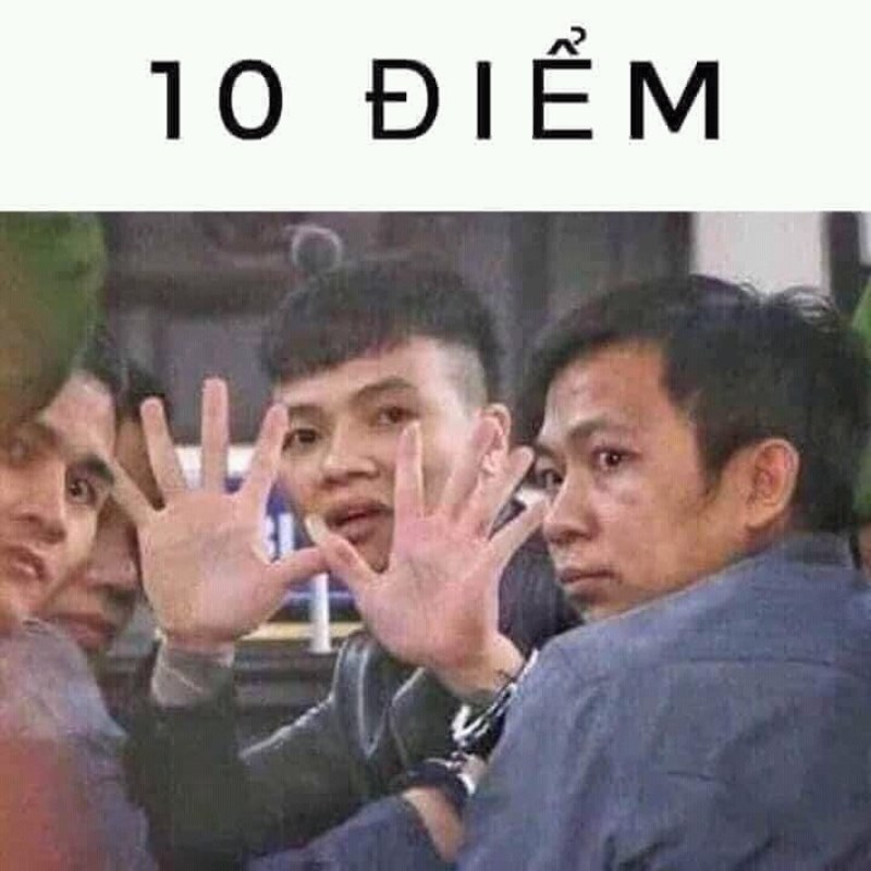 ảnh 10 điểm meme