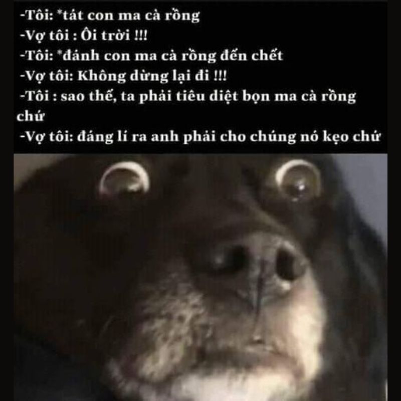 ảnh dark meme chế cực tối