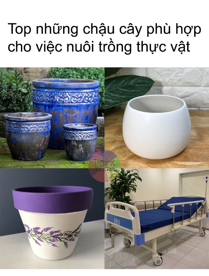 ảnh dark meme siêu tối