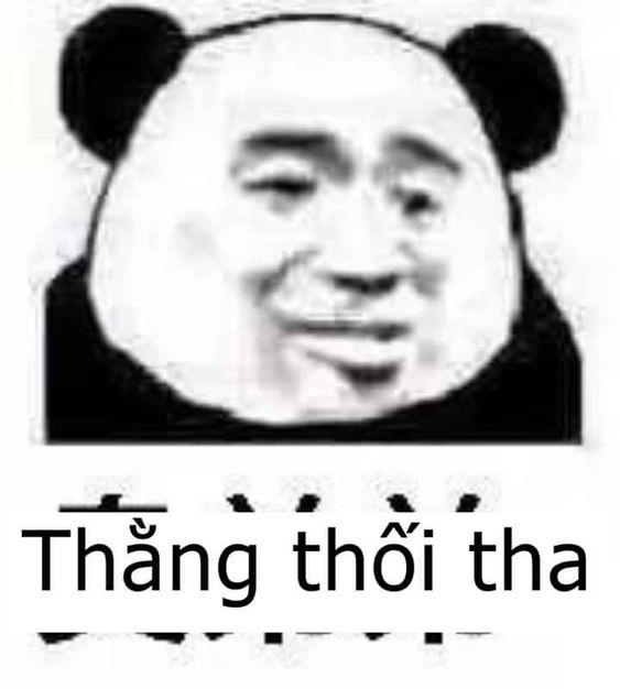 ảnh gấu trúc meme chửi