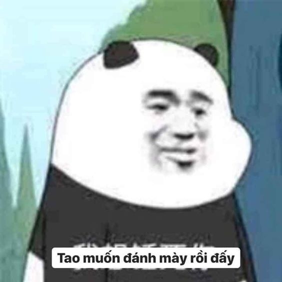 ảnh gấu trúc meme đánh