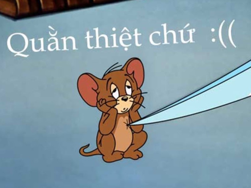 ảnh jerry meme đẹp