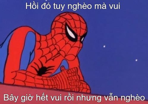 ảnh meme người nhện